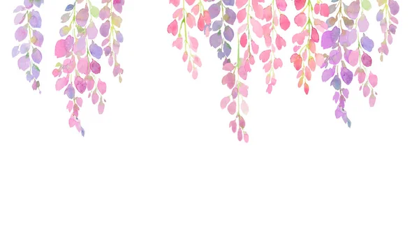보라색과 분홍색 등나무 꽃, 흰색 배경에 수채화 손 그림, — 스톡 사진