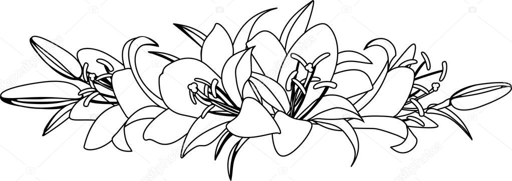 Bouquet of lilies, vector illustration. Black and white drawing