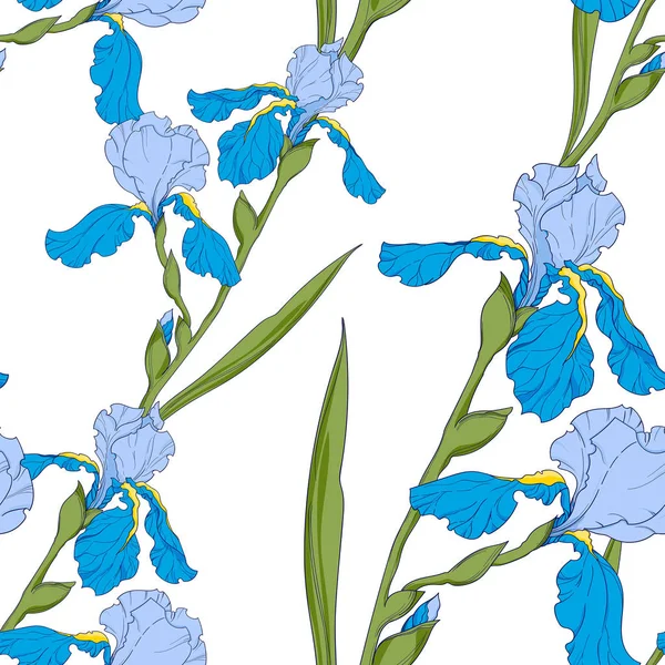 Iris azul, rama con flores, patrón de vector sin costuras — Archivo Imágenes Vectoriales