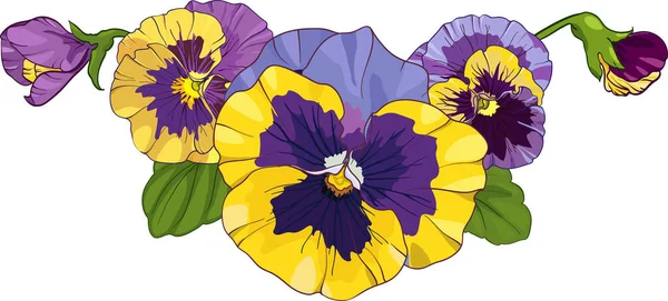 白い背景に孤立したパンジーの花の配置 花束ビオラ 黄色と紫の花緑の葉 ベクターイラスト — ストックベクタ