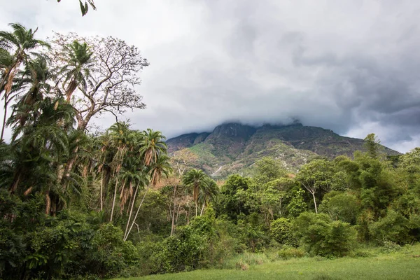 Céu Nublado Sobre Monte Mulanje Com Floresta Sopé Montanha — Fotografia de Stock