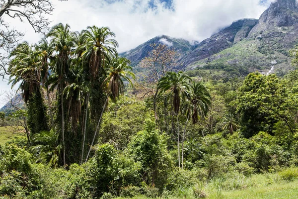 Cielo Nuvoloso Sopra Monte Mulanje Con Foresta Piedi Della Montagna — Foto Stock