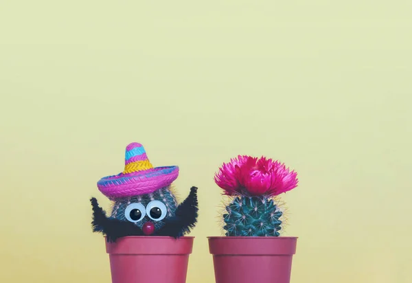 Deux petits cactus dans un pot de fleurs sur fond jaune tendance . — Photo