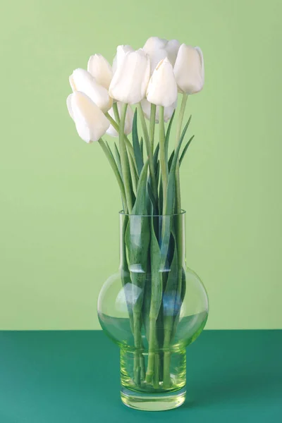Tulipani bianchi su sfondo verde . — Foto Stock