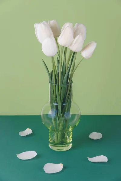 Tulipas brancas em um vaso em um fundo verde . — Fotografia de Stock