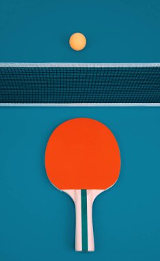 Masa tenisi veya ping pong raket ve top.