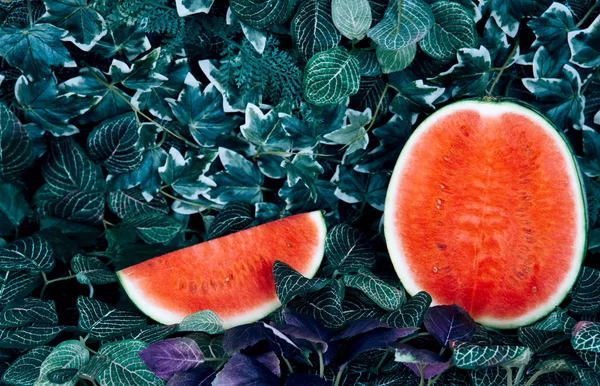 Frische reife gestreifte Wassermelone in Scheiben geschnitten. — Stockfoto