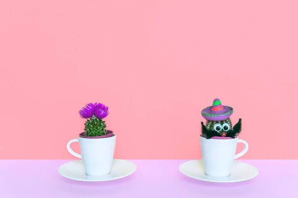 Pequeno cacto em um vaso de flores em um fundo na moda . — Fotografia de Stock