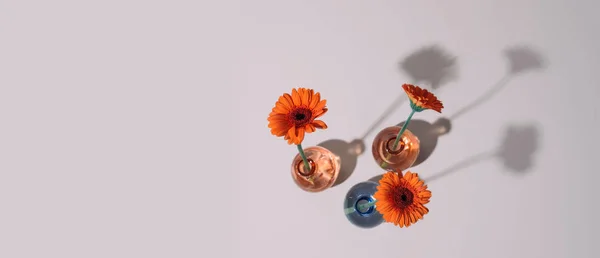 Апельсиновые ромашки в вазе на модном фоне . — стоковое фото
