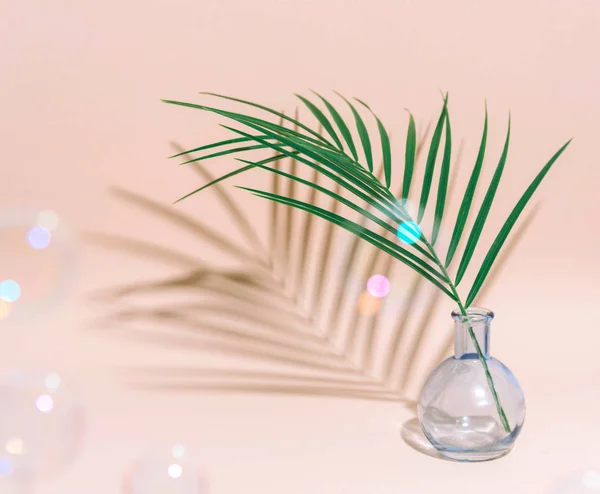 Composição pura mínima com folha de palma em um vaso no fundo pastel . — Fotografia de Stock