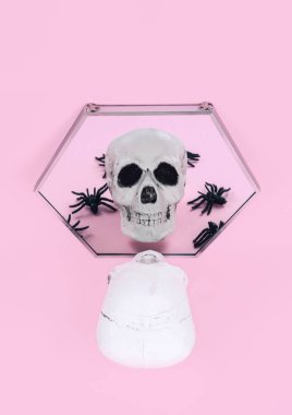 Kafatası trendy pastel pembe arka plan üzerinde.