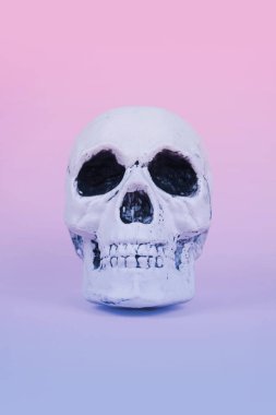 Kafatası trendy pastel pembe arka plan üzerinde.