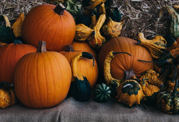 Ein Rustikales Herbststillleben Mit Bio Kürbissen Heu — Stockfoto