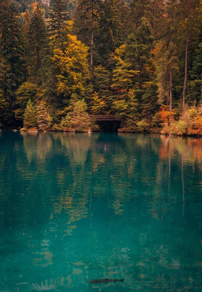 Romantik Sonbahar zaman orman göl Blausee, İsviçre.