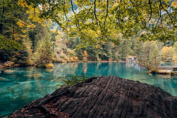 Jesienny czas Romantic leśne jeziora Blausee, Szwajcaria. — Zdjęcie stockowe