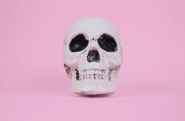 Kafatası trendy pastel pembe arka plan üzerinde.