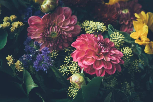 Hermosas flores mágicas de ensueño . —  Fotos de Stock