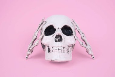 Kafatası trendy pastel pembe arka plan üzerinde.