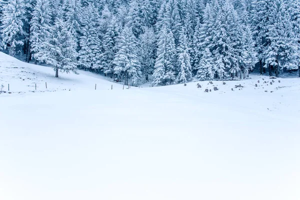 Paysage hivernal dans les montagnes. — Photo