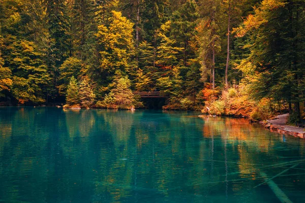 Hora de outono no romântico lago da floresta Blausee, Suíça . — Fotografia de Stock