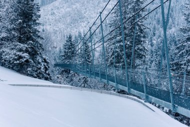 İsviçre yaya asma köprü.