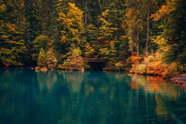 Romantik Sonbahar zaman orman göl Blausee, İsviçre.