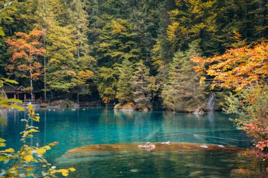 Romantik Sonbahar zaman orman göl Blausee, İsviçre.