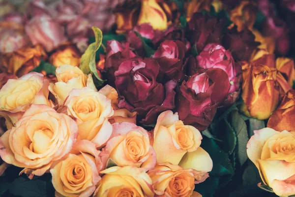 Krásná víla zasněný kouzelné květiny. — Stock fotografie