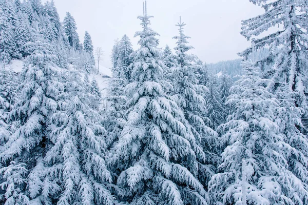 山の冬の風景. — ストック写真