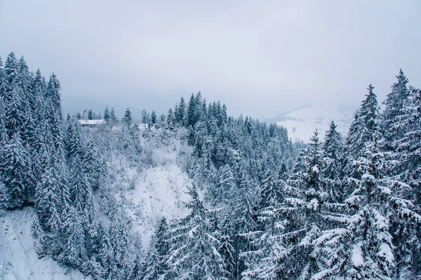Vinterlandskap i fjällen. — Stockfoto