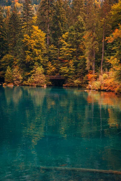 Höstens tid på romantic forest lake Blausee, Schweiz. — Stockfoto
