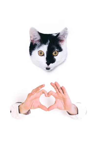 Joven formando forma de corazón con sus manos . — Foto de Stock