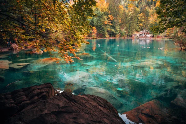 Autunno al romantico lago forestale Blausee, Svizzera . — Foto Stock