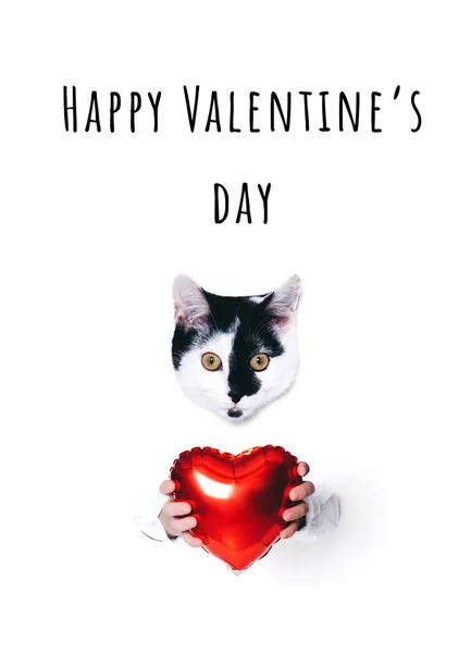 Beyaz arka plan üzerinde bir kalp tutan şirin kedi. — Stok fotoğraf