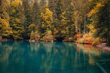 Romantik Sonbahar zaman orman göl Blausee, İsviçre.