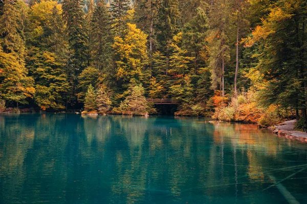 Hora de outono no romântico lago da floresta Blausee, Suíça . — Fotografia de Stock