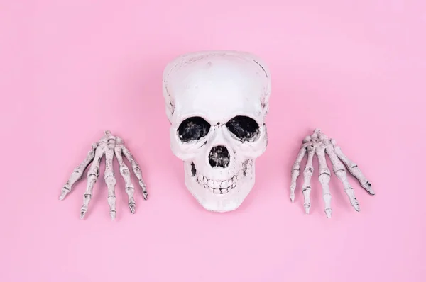 Skull on trendy pastel pink background. — Stock Photo, Image