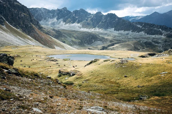 Blick auf wunderschöne stimmungsvolle Landschaft in den Alpen. — Stockfoto