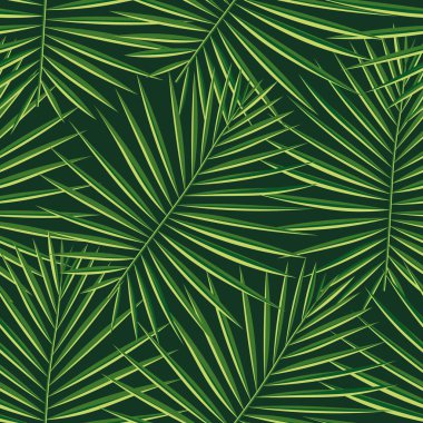 Tropikal palmiye desen sorunsuz arka plan bırakır. Egzotik moda trendy çiçek yeşillik desen. Sorunsuz güzel botanik palmiye ağacı yaz dekorasyon tasarım. Vektör desen kaydırma mayo için yazdırma.