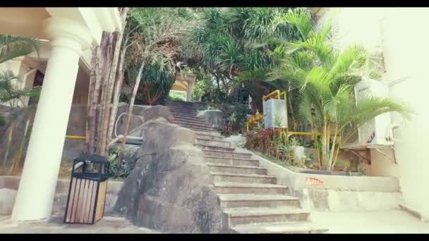 Stone stairs, ascending walk. Palms and trees on the sides. POV camera come upstairs at garden staircase, outdoors. Camera moves to steadicam stairs in park, staircase in the hotel — Stock Video
