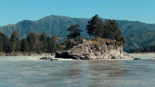 Il flusso del fiume veloce. Sparatoria statica. Sullo sfondo della montagna e della foresta. Al centro del fiume si trova un'isola di pietra con alberi . — Video Stock