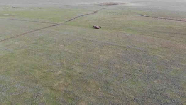 The quadcopter flies over car in the steppe. — Stock video