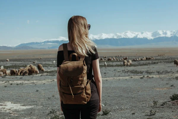 Kız sürüsü koyun önünde geri duran — Stok fotoğraf