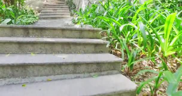 Subiendo las escaleras con arbustos de la selva alrededor — Vídeo de stock