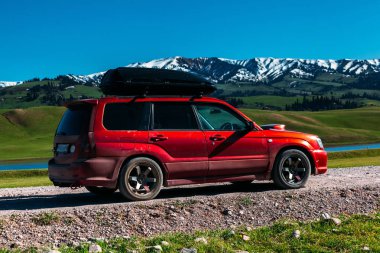 Yeşil alanın yakınında yol kenarına park edilmiş araba