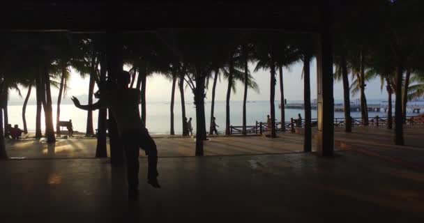中国男子在沙滩上训练被棕榈树围起来 — 图库视频影像
