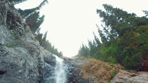 山の木々に囲まれた小さな滝 — ストック動画