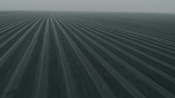 Flight over agricultural arable land fields in fog — Stock Video