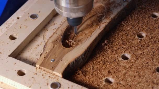 Automatic milling cutting wood machine. drill holes for the pieces of wood. Closeup. — Stock Video
