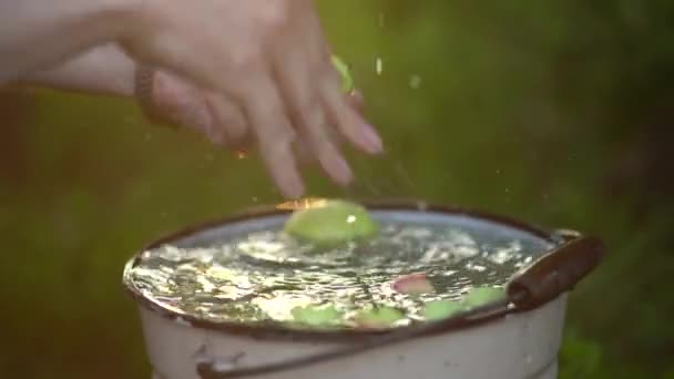 Close-up van een man die een appel wast onder een waterstroom in de tuin op een wazige achtergrond — Stockvideo